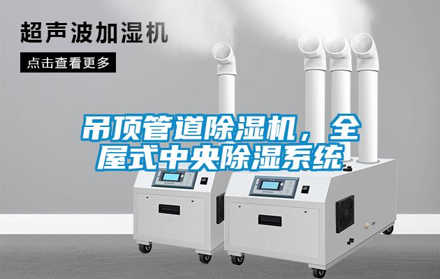 吊頂管道除濕機，全屋式中央除濕系統(tǒng)