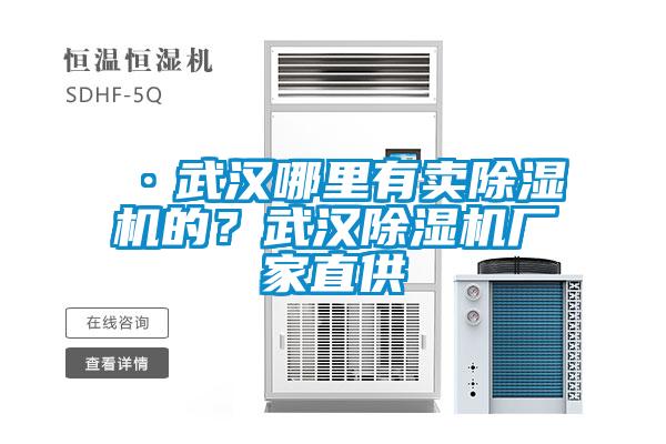 ·武漢哪里有賣除濕機的？武漢除濕機廠家直供