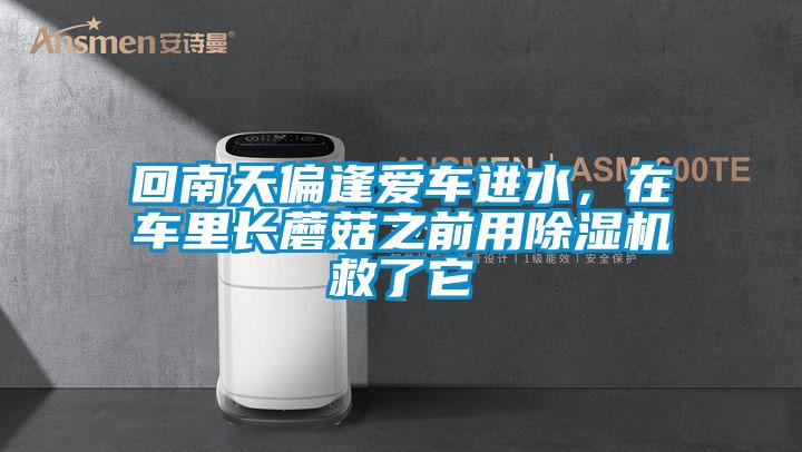 回南天偏逢愛車進(jìn)水，在車?yán)镩L(zhǎng)蘑菇之前用除濕機(jī)救了它