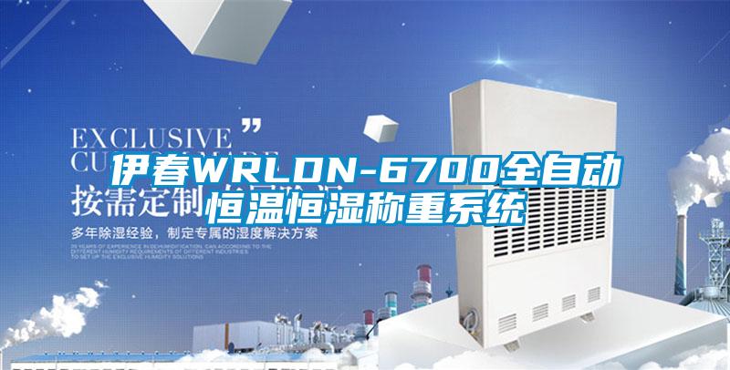 伊春WRLDN-6700全自動(dòng)恒溫恒濕稱重系統(tǒng)