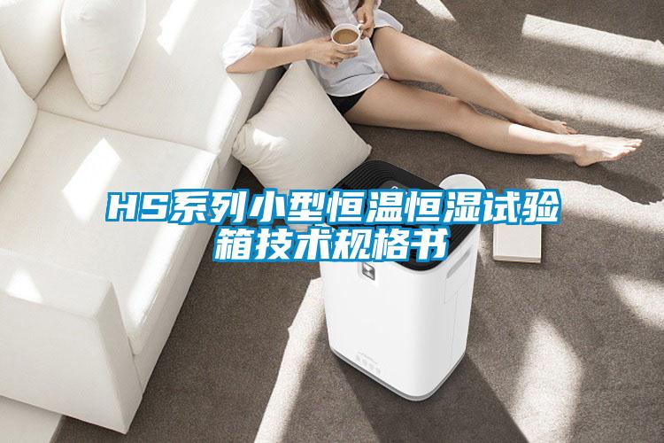 HS系列小型恒溫恒濕試驗箱技術(shù)規(guī)格書