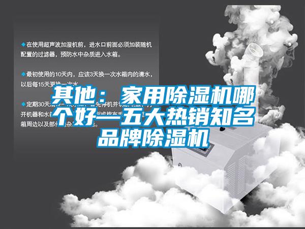 其他：家用除濕機(jī)哪個好—五大熱銷知名品牌除濕機(jī)
