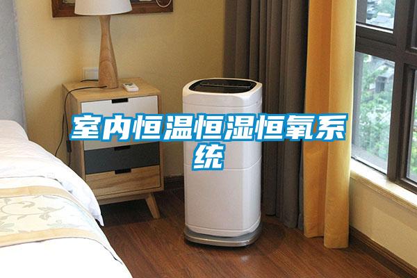 室內恒溫恒濕恒氧系統(tǒng)