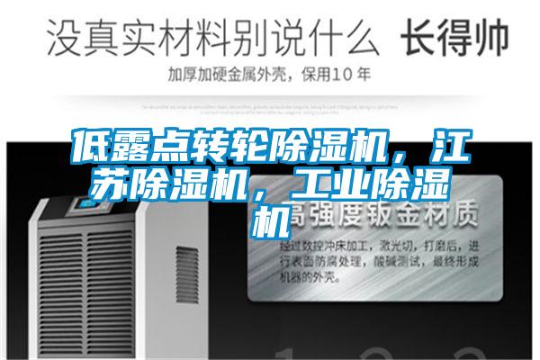 低露點(diǎn)轉(zhuǎn)輪除濕機(jī)，江蘇除濕機(jī)，工業(yè)除濕機(jī)