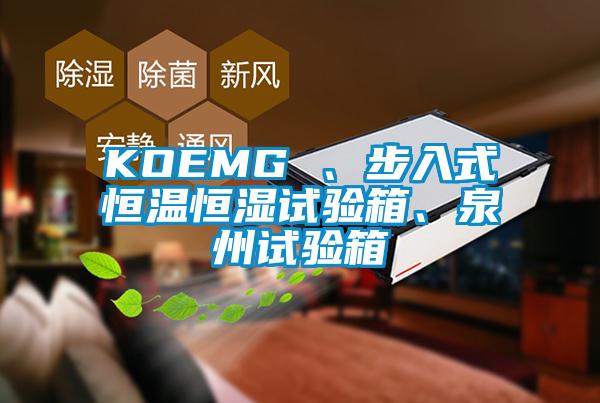 KOEMG 、步入式恒溫恒濕試驗箱、泉州試驗箱