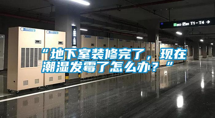 “地下室裝修完了，現(xiàn)在潮濕發(fā)霉了怎么辦？”