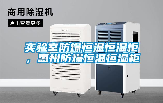 實(shí)驗(yàn)室防爆恒溫恒濕柜，惠州防爆恒溫恒濕柜