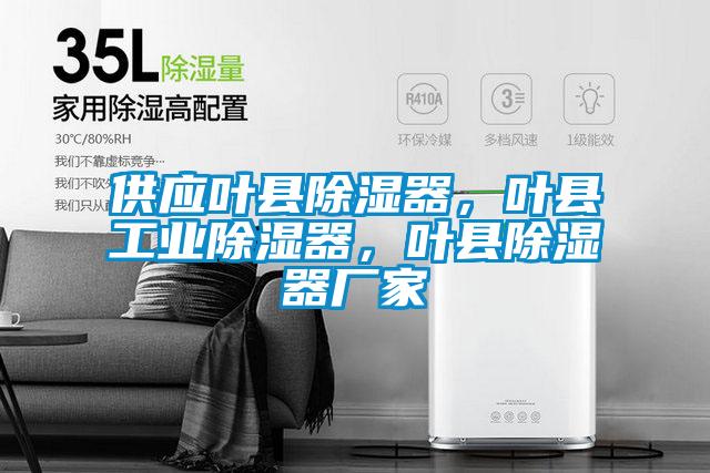 供應(yīng)葉縣除濕器，葉縣工業(yè)除濕器，葉縣除濕器廠家