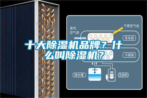 十大除濕機品牌？什么叫除濕機？