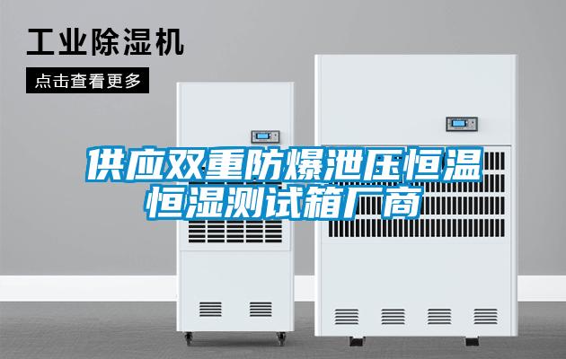 供應(yīng)雙重防爆泄壓恒溫恒濕測(cè)試箱廠商