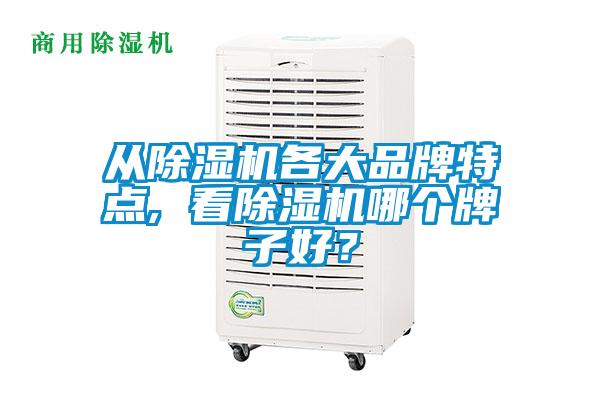 從除濕機(jī)各大品牌特點(diǎn), 看除濕機(jī)哪個(gè)牌子好？