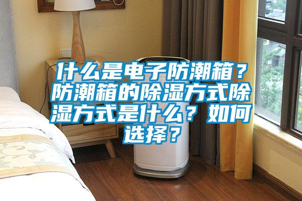什么是電子防潮箱？防潮箱的除濕方式除濕方式是什么？如何選擇？