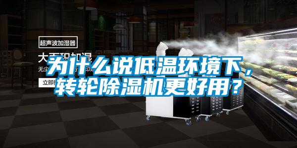 為什么說低溫環(huán)境下，轉(zhuǎn)輪除濕機(jī)更好用？