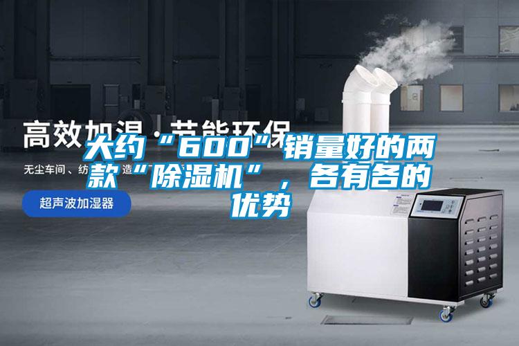 大約“600”銷量好的兩款“除濕機”，各有各的優(yōu)勢