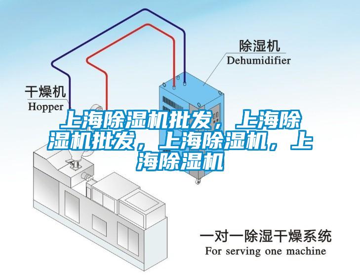 上海除濕機(jī)批發(fā)，上海除濕機(jī)批發(fā)，上海除濕機(jī)，上海除濕機(jī)
