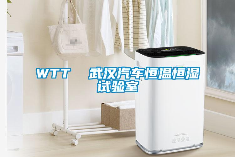 WTT  武漢汽車恒溫恒濕試驗(yàn)室