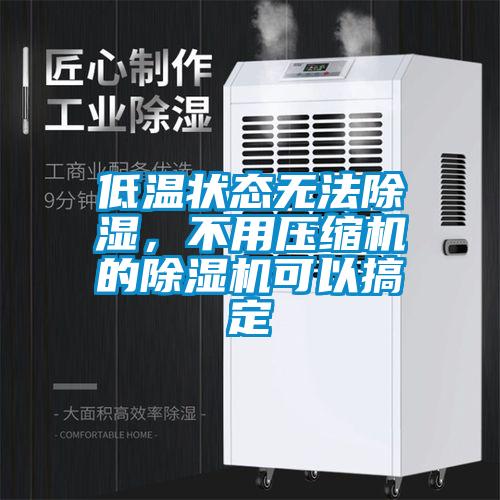 低溫狀態(tài)無(wú)法除濕，不用壓縮機(jī)的除濕機(jī)可以搞定