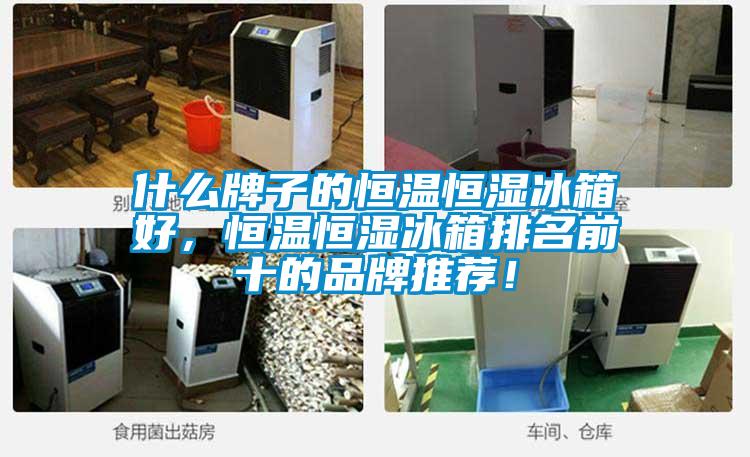 什么牌子的恒溫恒濕冰箱好，恒溫恒濕冰箱排名前十的品牌推薦！