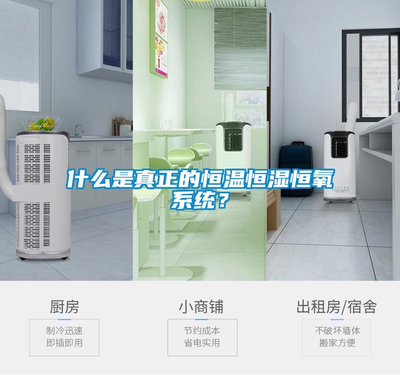 什么是真正的恒溫恒濕恒氧系統(tǒng)？