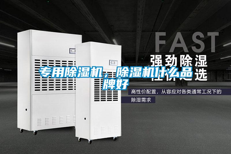專用除濕機，除濕機什么品牌好