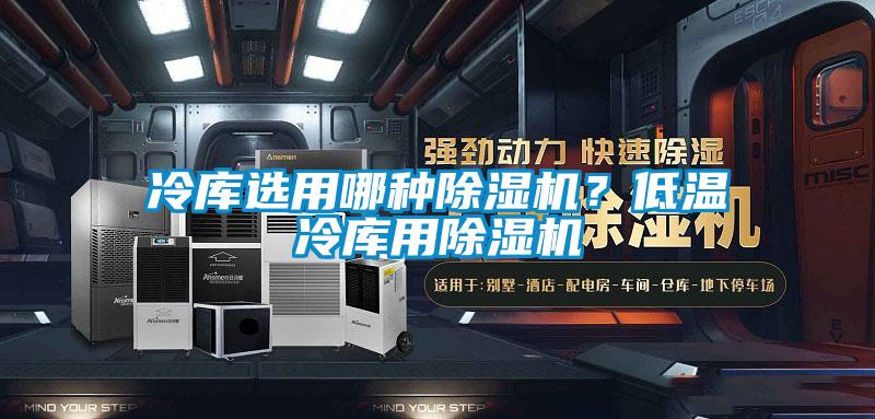 冷庫(kù)選用哪種除濕機(jī)？低溫冷庫(kù)用除濕機(jī)