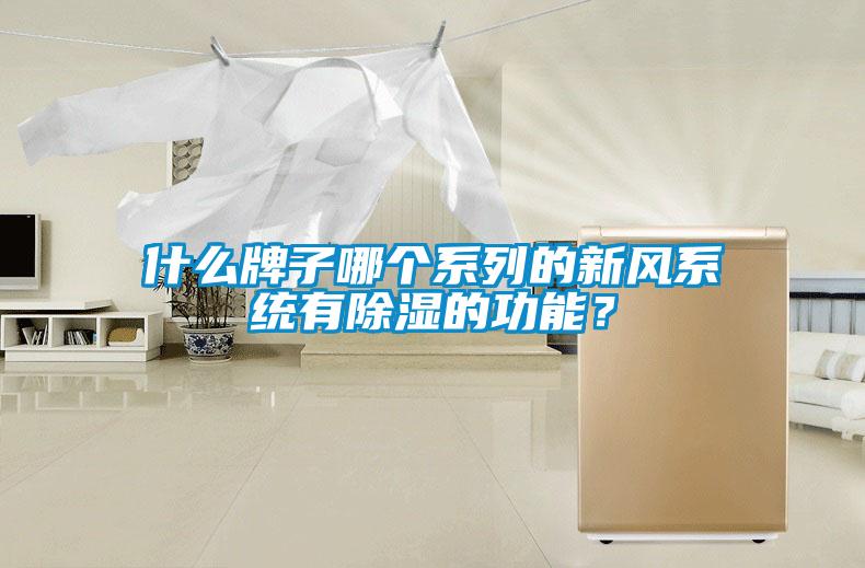 什么牌子哪個系列的新風系統(tǒng)有除濕的功能？