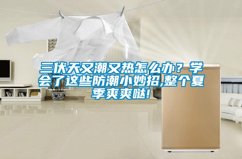 三伏天又潮又熱怎么辦？學(xué)會了這些防潮小妙招,整個(gè)夏季爽爽噠!