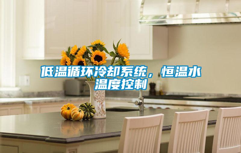 低溫循環(huán)冷卻系統(tǒng)，恒溫水溫度控制