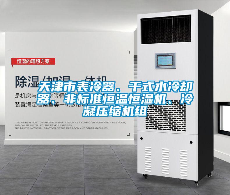 天津市表冷器、干式水冷卻器、非標(biāo)準(zhǔn)恒溫恒濕機(jī)、冷凝壓縮機(jī)組