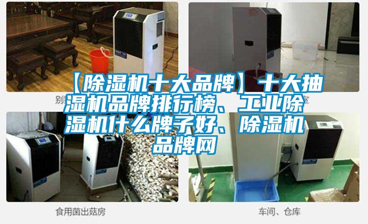 【除濕機(jī)十大品牌】十大抽濕機(jī)品牌排行榜、工業(yè)除濕機(jī)什么牌子好、除濕機(jī)品牌網(wǎng)