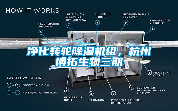 凈化轉輪除濕機組，杭州博拓生物三期