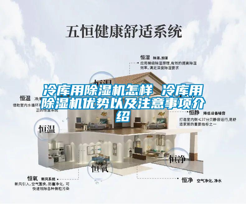 冷庫(kù)用除濕機(jī)怎樣 冷庫(kù)用除濕機(jī)優(yōu)勢(shì)以及注意事項(xiàng)介紹