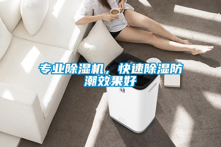 專業(yè)除濕機(jī)，快速除濕防潮效果好