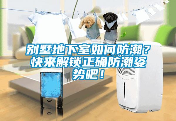 別墅地下室如何防潮？快來解鎖正確防潮姿勢吧！