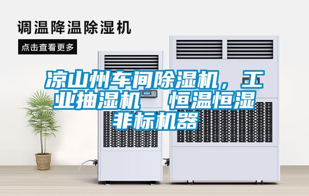 涼山州車間除濕機，工業(yè)抽濕機  恒溫恒濕非標機器