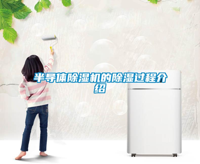半導(dǎo)體除濕機的除濕過程介紹