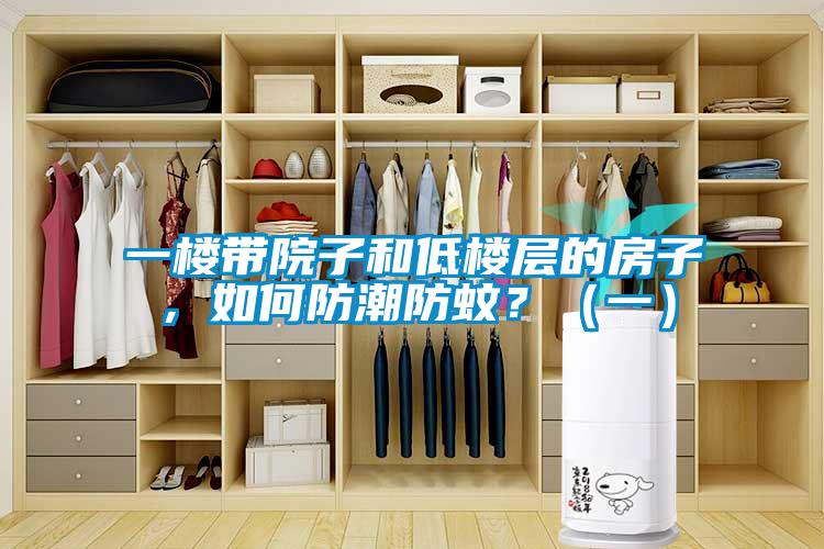 一樓帶院子和低樓層的房子，如何防潮防蚊？（一）