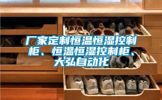 廠家定制恒溫恒濕控制柜、恒溫恒濕控制柜、大弘自動化