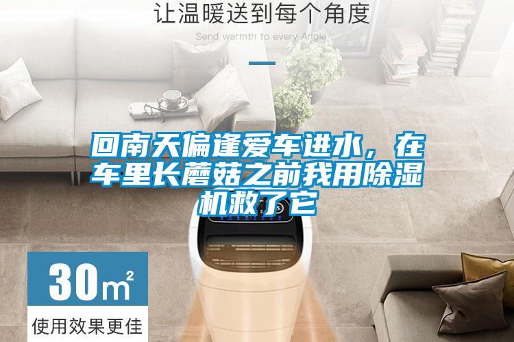 回南天偏逢愛車進(jìn)水，在車?yán)镩L蘑菇之前我用除濕機(jī)救了它