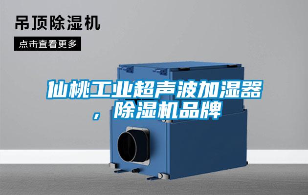 仙桃工業(yè)超聲波加濕器，除濕機(jī)品牌