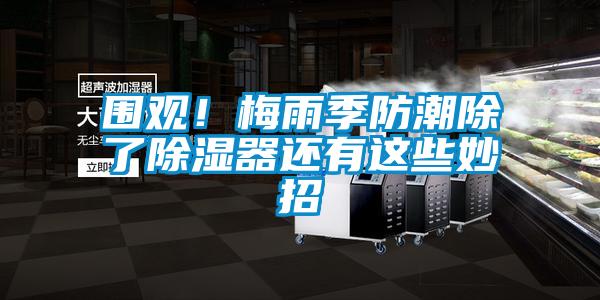 圍觀！梅雨季防潮除了除濕器還有這些妙招