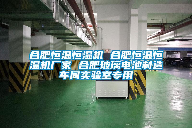 合肥恒溫恒濕機(jī) 合肥恒溫恒濕機(jī)廠家 合肥玻璃電池制造車間實驗室專用