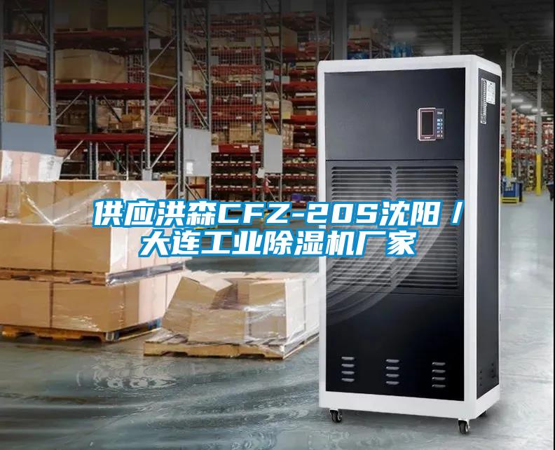 供應洪森CFZ-20S沈陽／大連工業(yè)除濕機廠家