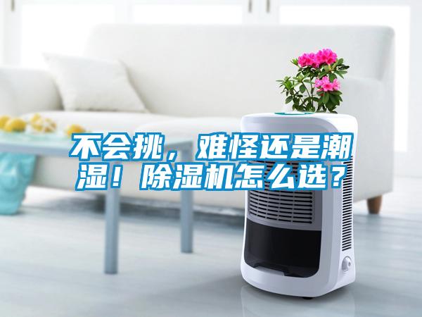 不會挑，難怪還是潮濕！除濕機怎么選？