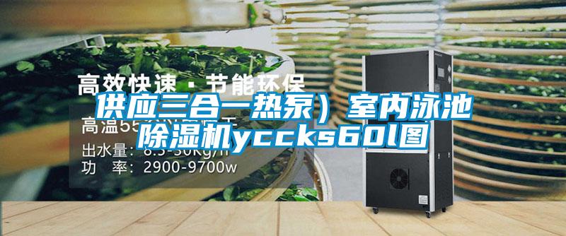 供應三合一熱泵）室內(nèi)泳池除濕機yccks60l圖