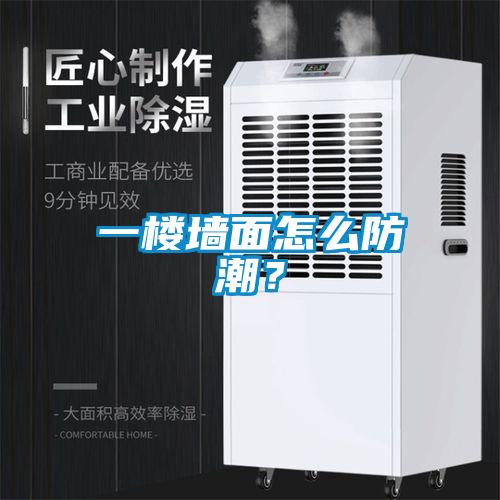 一樓墻面怎么防潮？