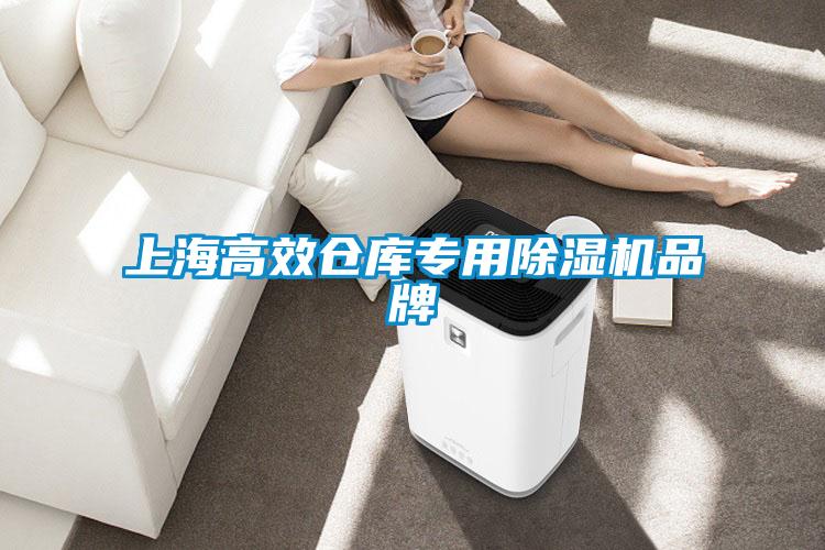 上海高效倉(cāng)庫(kù)專(zhuān)用除濕機(jī)品牌