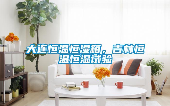 大連恒溫恒濕箱，吉林恒溫恒濕試驗