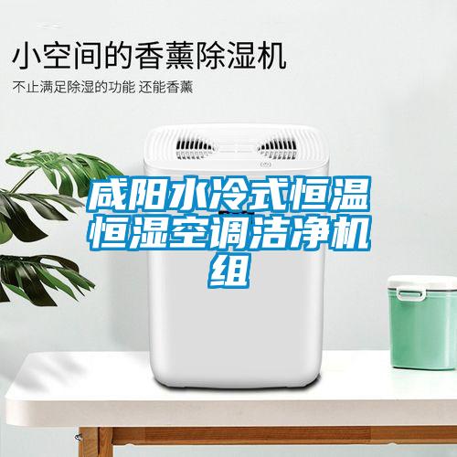 咸陽水冷式恒溫恒濕空調(diào)潔凈機組