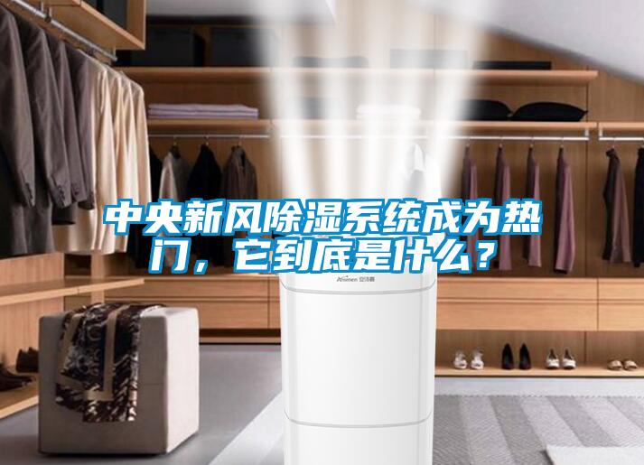中央新風(fēng)除濕系統(tǒng)成為熱門，它到底是什么？